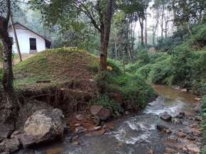 Creek Side